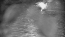 Otočná kamera na sjezdovce