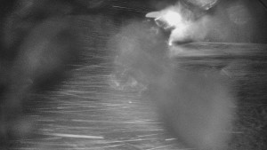 Skiareál Karolinka - Otočná kamera na sjezdovce - 25.12.2025 v 03:40 Skiareál Karolinka - Otočná kamera na sjezdovce - 25.12.2025 v 03:40