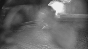 Skiareál Karolinka - Otočná kamera na sjezdovce - 25.12.2025 v 04:02 Skiareál Karolinka - Otočná kamera na sjezdovce - 25.12.2025 v 04:02