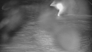 Skiareál Karolinka - Otočná kamera na sjezdovce - 25.12.2025 v 04:32 Skiareál Karolinka - Otočná kamera na sjezdovce - 25.12.2025 v 04:32