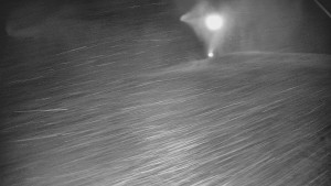 Skiareál Karolinka - Otočná kamera na sjezdovce - 25.12.2025 v 06:05 Skiareál Karolinka - Otočná kamera na sjezdovce - 25.12.2025 v 06:05