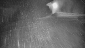 Skiareál Karolinka - Otočná kamera na sjezdovce - 25.12.2025 v 20:40 Skiareál Karolinka - Otočná kamera na sjezdovce - 25.12.2025 v 20:40