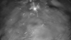 Otočná kamera na sjezdovce