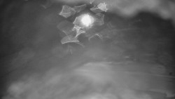 Otočná kamera na sjezdovce