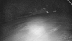 Otočná kamera na sjezdovce