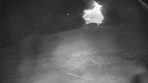 Skiareál Karolinka - Otočná kamera na sjezdovce - 26.3.2026 v 02:32 Skiareál Karolinka - Otočná kamera na sjezdovce - 26.3.2026 v 02:32