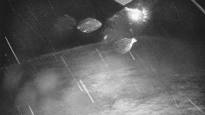 Skiareál Karolinka - Otočná kamera na sjezdovce - 26.3.2026 v 03:15 Skiareál Karolinka - Otočná kamera na sjezdovce - 26.3.2026 v 03:15