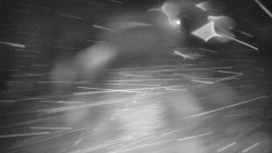 Otočná kamera na sjezdovce