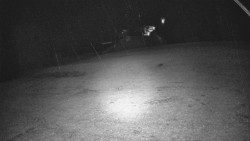 Otočná kamera na sjezdovce