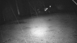 Otočná kamera na sjezdovce