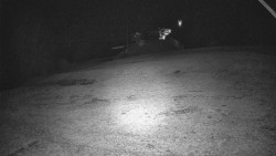 Otočná kamera na sjezdovce