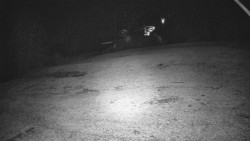 Otočná kamera na sjezdovce