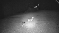 Otočná kamera na sjezdovce