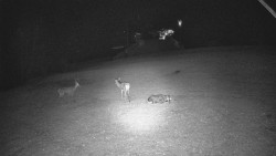 Otočná kamera na sjezdovce