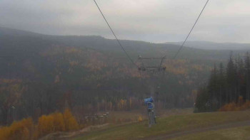 Snímek 7.11.2025 v 08:01