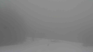 Ski Karlov - areál Karlov - Sjezdovky V Javořinách a Rodinná - 14.3.2023 v 13:01