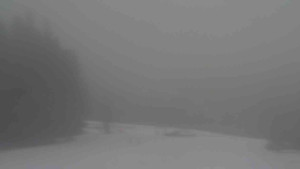 Ski Karlov - areál Karlov - Sjezdovky V Javořinách a Rodinná - 14.3.2023 v 15:01