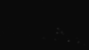 Snímek    30.10.2025 v 00:01