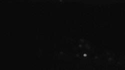 Sjezdovky V Javořinách a Rodinná