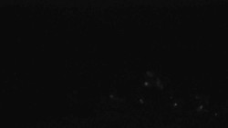 Sjezdovky V Javořinách a Rodinná