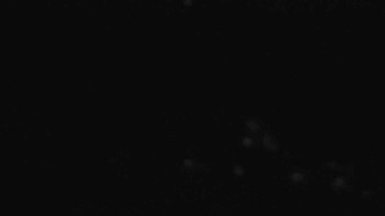 Snímek 8.11.2025 v 04:31