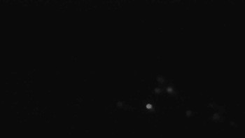 Snímek 9.11.2025 v 01:31