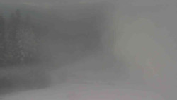 Sjezdovky V Javořinách a Rodinná