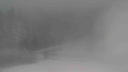 Sjezdovky V Javořinách a Rodinná