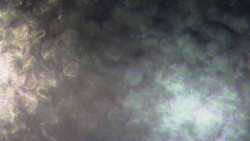 Sjezdovky V Javořinách a Rodinná