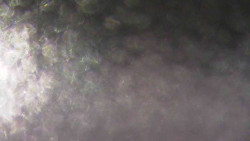 Sjezdovky V Javořinách a Rodinná