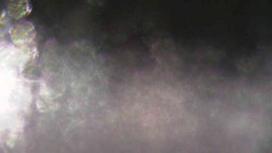 Sjezdovky V Javořinách a Rodinná