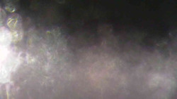 Sjezdovky V Javořinách a Rodinná