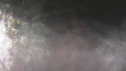 Sjezdovky V Javořinách a Rodinná