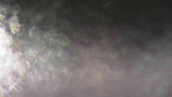 Sjezdovky V Javořinách a Rodinná