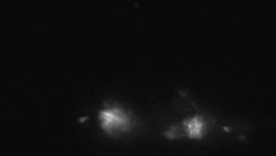 Sjezdovky V Javořinách a Rodinná