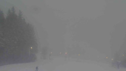 Sjezdovky V Javořinách a Rodinná