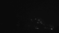 Sjezdovky V Javořinách a Rodinná