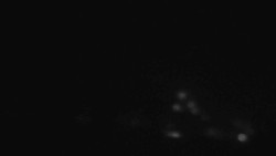 Sjezdovky V Javořinách a Rodinná