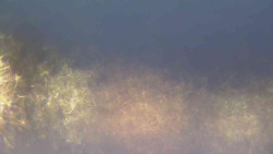 Sjezdovky V Javořinách a Rodinná