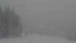 Sjezdovky V Javořinách a Rodinná