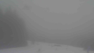 Ski Karlov - areál Karlov - Sjezdovky V Javořinách a Rodinná - 14.2.2026 v 12:02 Ski Karlov - areál Karlov - Sjezdovky V Javořinách a Rodinná - 14.2.2026 v 12:02