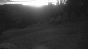 Ski Karlov - areál Karlov - Sjezdovka Sportovní - 11.5.2025 v 04:31 Ski Karlov - areál Karlov - Sjezdovka Sportovní - 11.5.2025 v 04:31