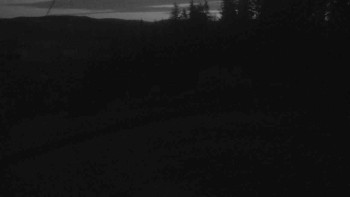 Snímek    4.11.2025 v 06:01