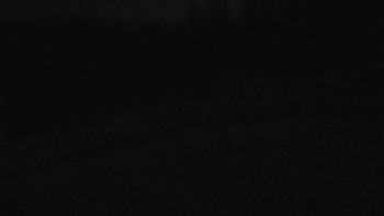 Snímek 6.11.2025 v 05:31