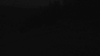 Snímek 7.11.2025 v 06:01