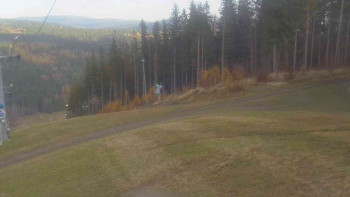 Snímek 7.11.2025 v 11:01