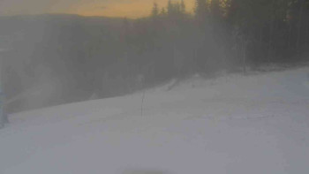 Snímek 19.11.2025 v 07:31