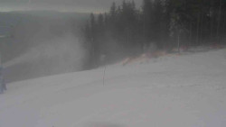 Sjezdovka Sportovní