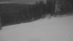 Sjezdovka Sportovní