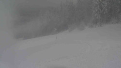 Sjezdovka Sportovní